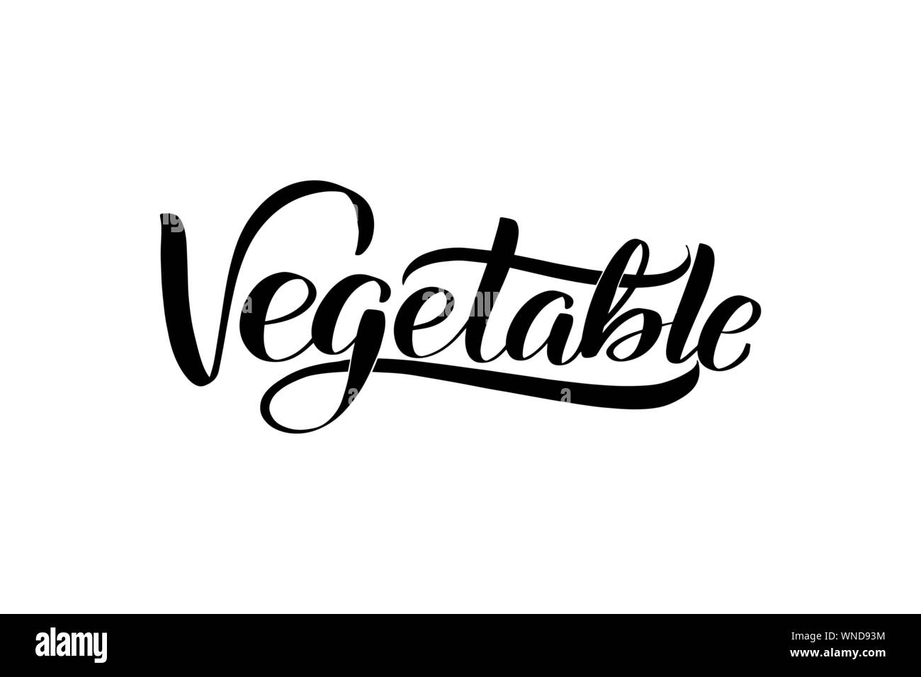 Ispiratore della spazzola manoscritta scritte . Vettore illustrazione di calligrafia Illustrazione Vettoriale