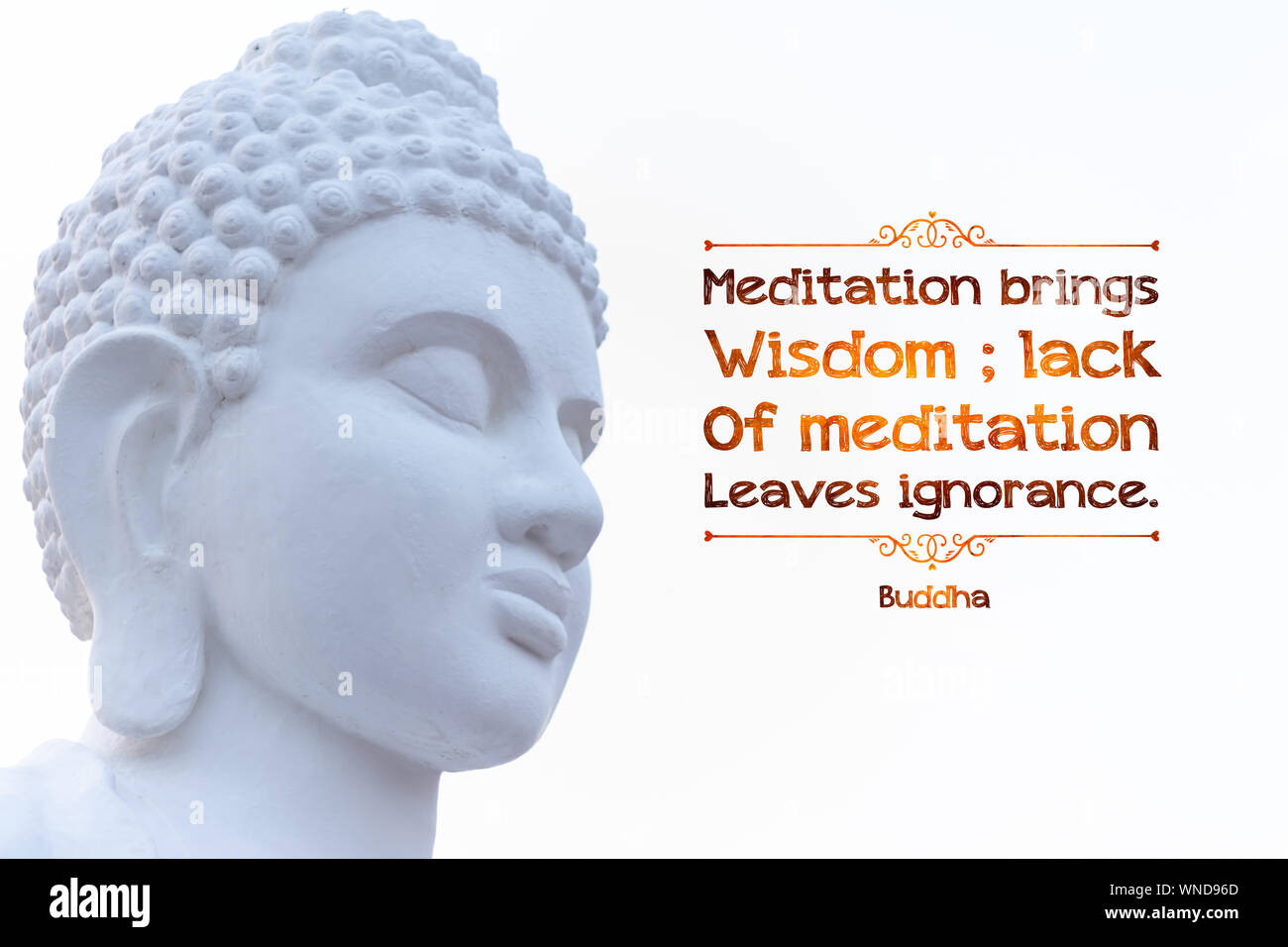 La meditazione porta la saggezza; mancanza di foglie di meditazione ignoranza - buddha(2) Foto Stock