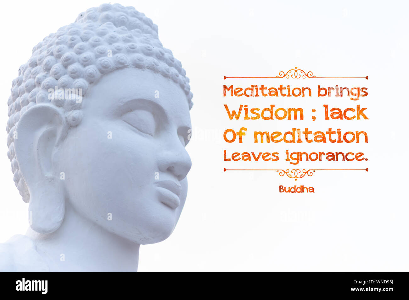 La meditazione porta la saggezza; mancanza di foglie di meditazione ignoranza - buddha Foto Stock