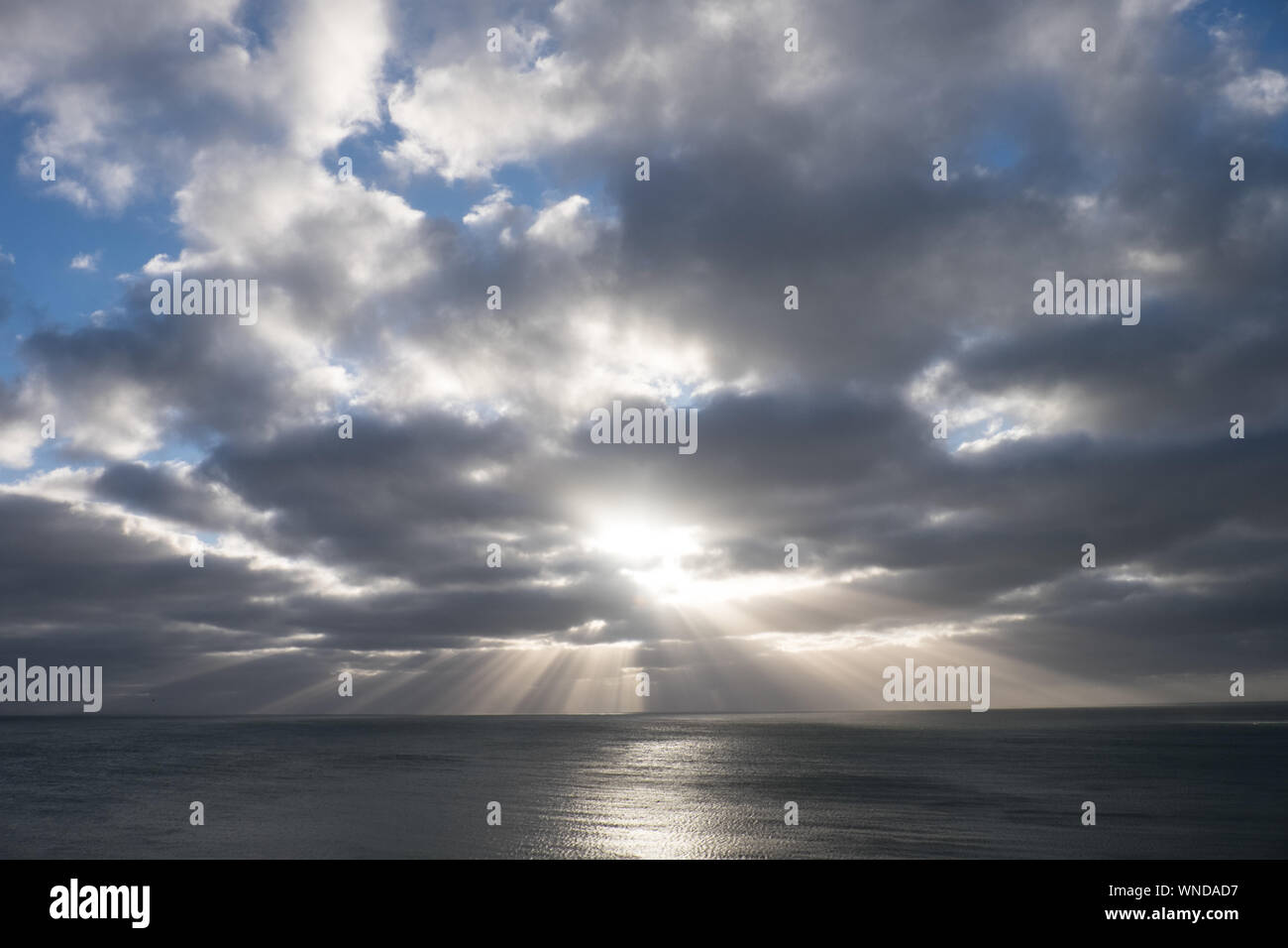 Alberi di luce del sole sulla baia di Swanage Foto Stock