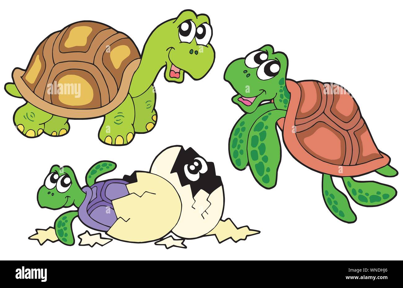 Raccolta delle tartarughe Illustrazione Vettoriale