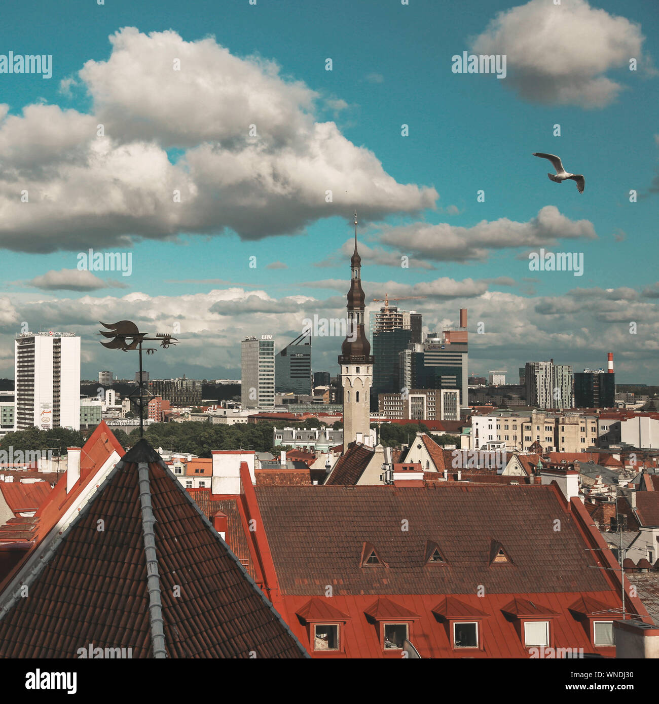 Il bellissimo panorama della città vecchia di Tallinn, Estonia. Orario estivo Foto Stock