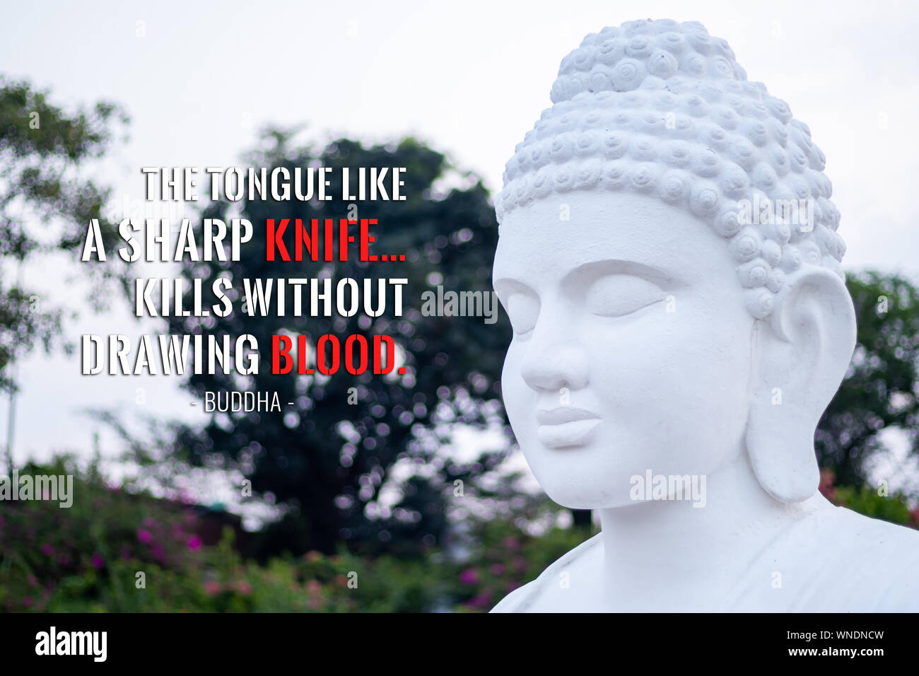 La lingua come un coltello affilato… uccide senza prelievo di sangue - buddha Foto Stock