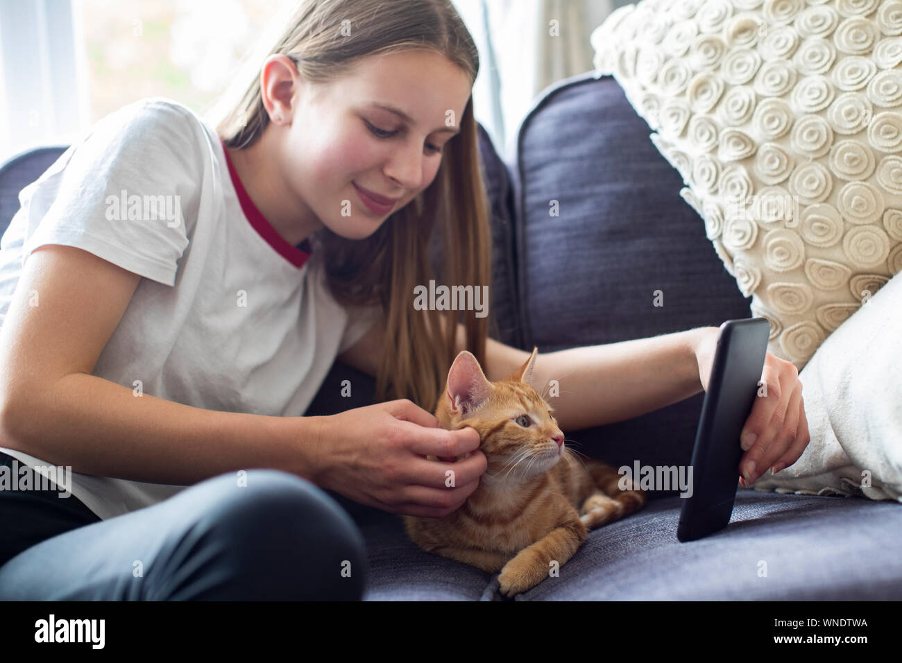 Ragazza con gatto Selfie tenendo il telefono cellulare a casa Foto Stock