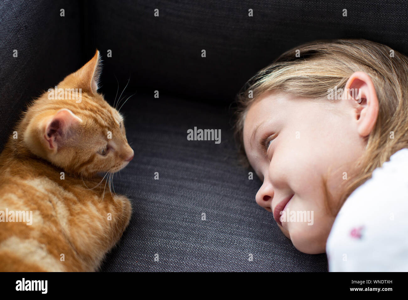 Ragazza distesa sul divano di casa cercando amorevolmente a Pet Cat Foto Stock