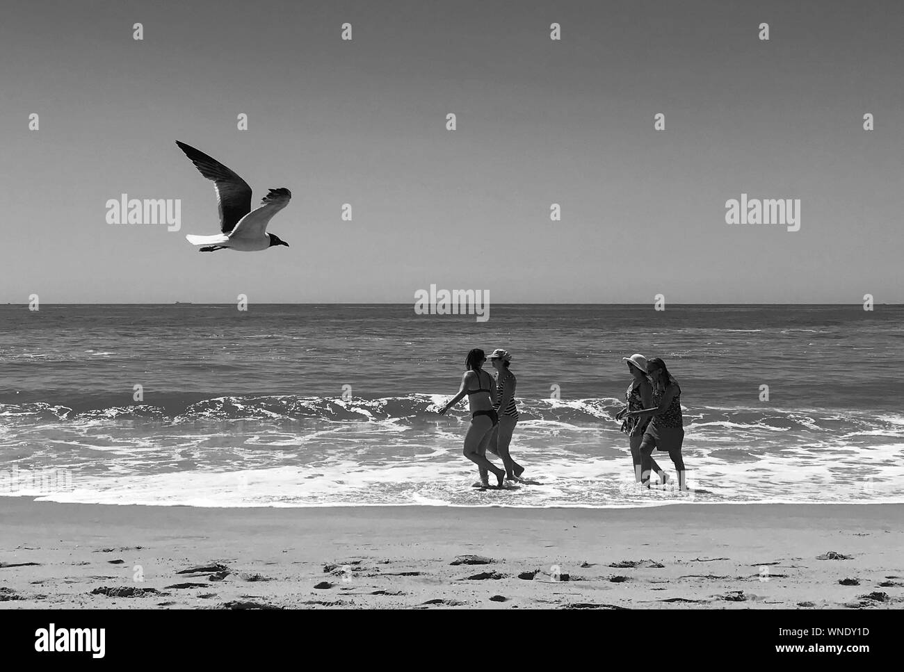 Un gruppo passeggiate lungo il surf in spiaggia la povertà come un gabbiano scivola da domenica 9 luglio 2017 in Cape May, New Jersey. (Foto di William Thomas Caino/Caino Foto Stock