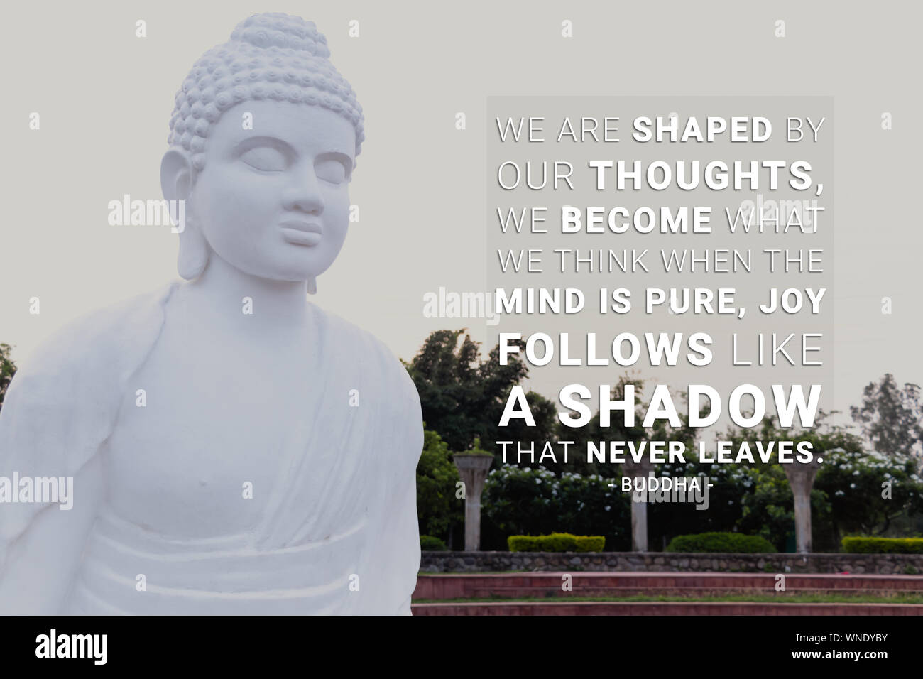 Ci sono conformate dai nostri pensieri, possiamo diventare ciò che pensiamo. Quando la mente è pura gioia segue come un ombra che non lascia mai - buddha Foto Stock