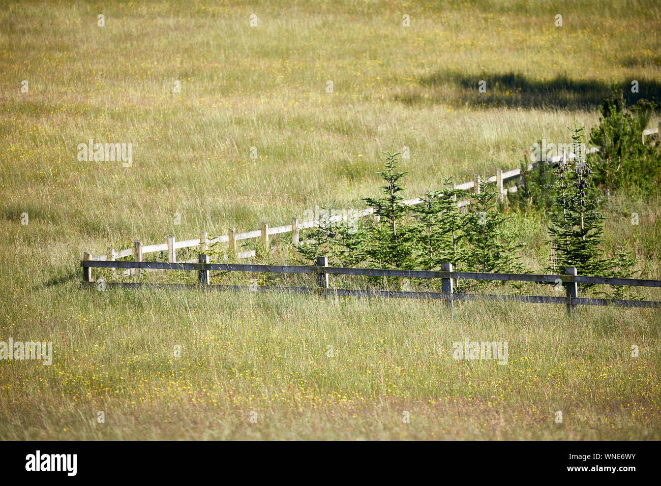 Barrow villaggio parrocchia civile Ribble Valley district Lancashire, Inghilterra i campi su Whalley Road Foto Stock