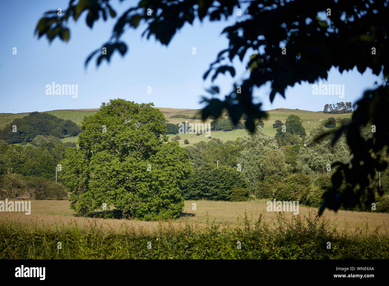 Barrow villaggio parrocchia civile Ribble Valley district Lancashire, Inghilterra i campi su Whalley Road Foto Stock