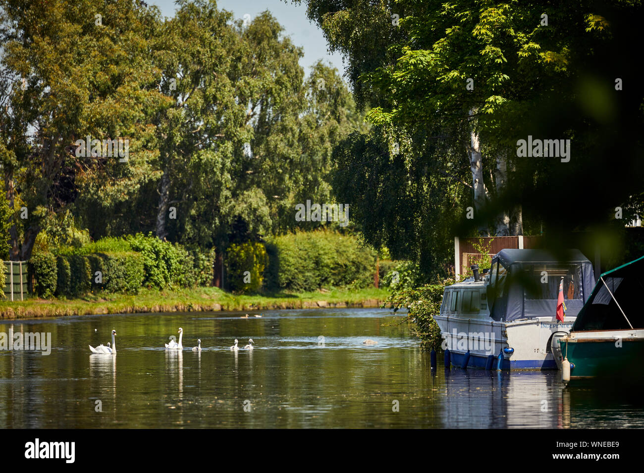 Bridgewater Canal piccolo porticciolo Appleton Warrington, Cheshire, Inghilterra. Foto Stock