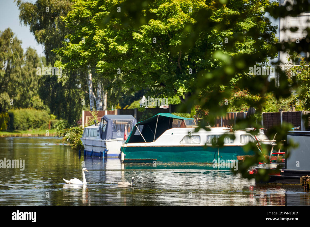 Bridgewater Canal piccolo porticciolo Appleton Warrington, Cheshire, Inghilterra. Foto Stock
