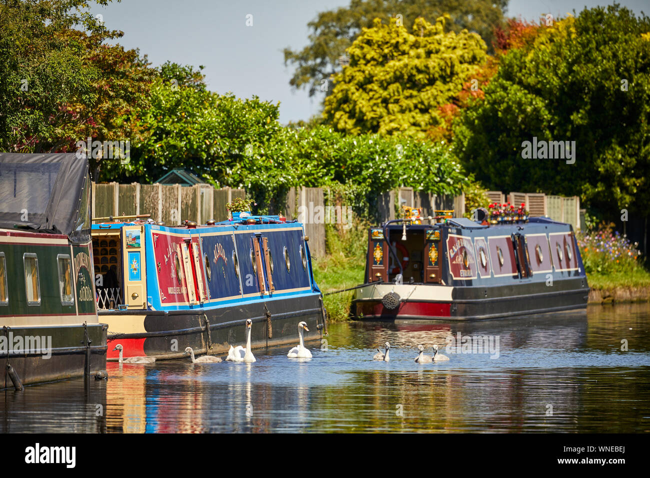 Bridgewater Canal piccolo porticciolo Appleton Warrington, Cheshire, Inghilterra. Foto Stock