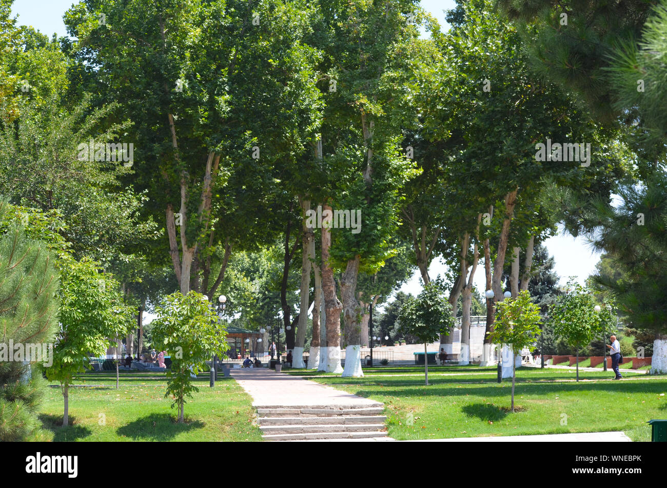 Un parco pubblico vicino al Registan Square nella città di Samarcanda, Uzbekistan Foto Stock