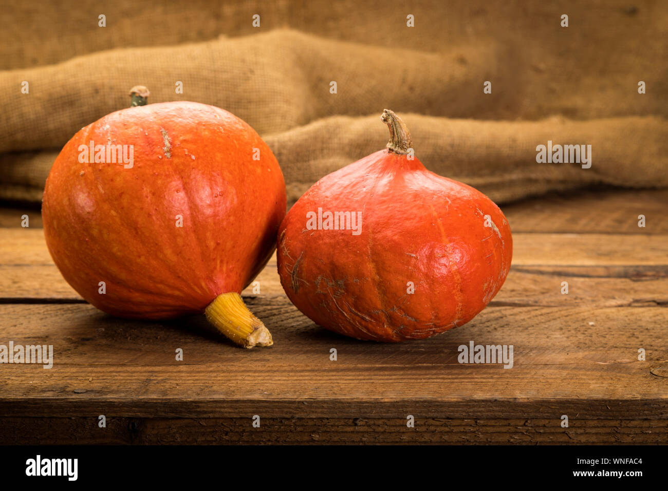 Due Red Kuri schiaccia su un rustico sfondo di legno vecchio e tela Foto Stock