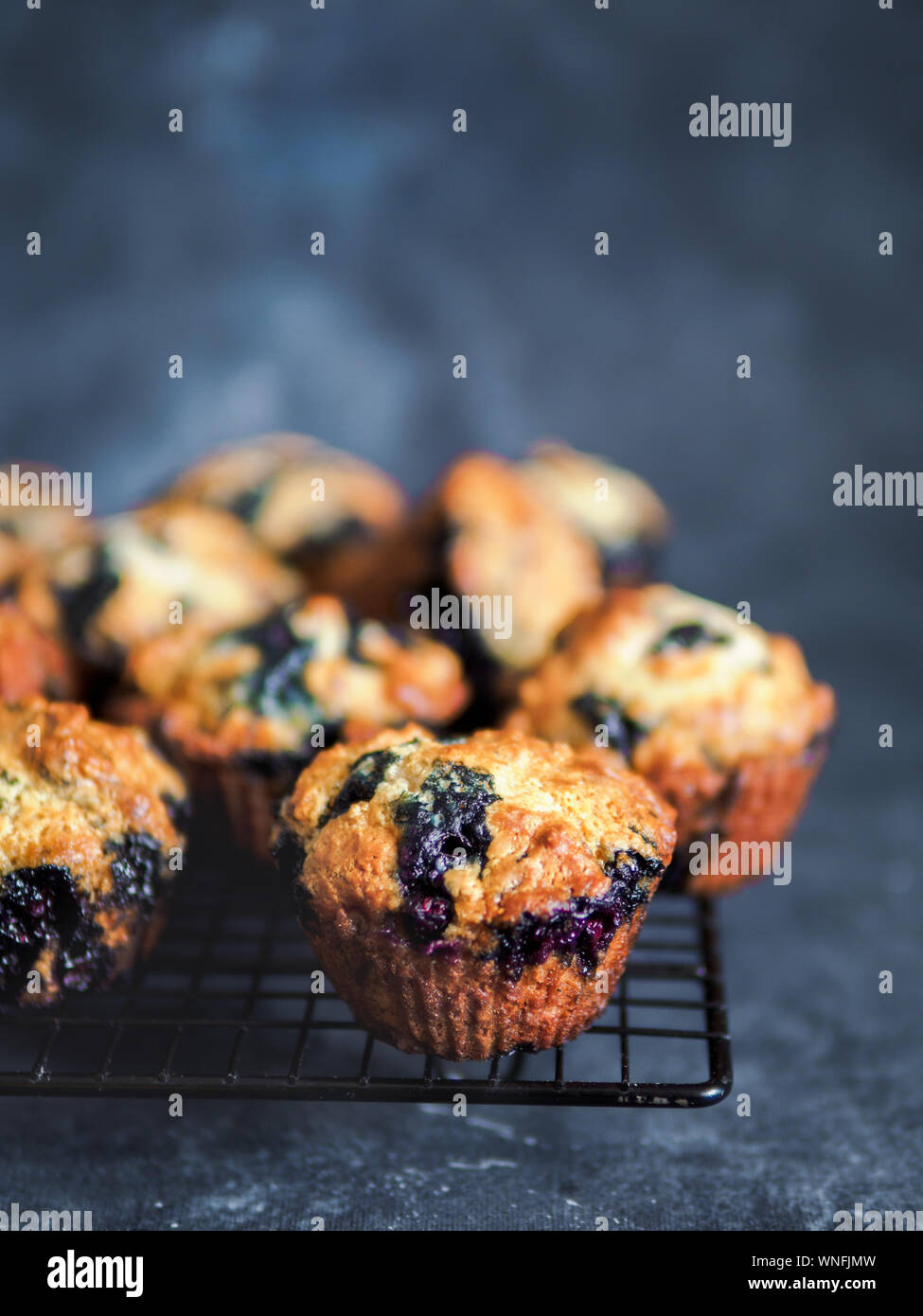 In casa vegan muffin ai mirtilli sulla griglia di raffreddamento. Uovo vegetariana-free muffin su sfondo scuro. Verticale. Copia spazio per il testo o il design. Foto Stock