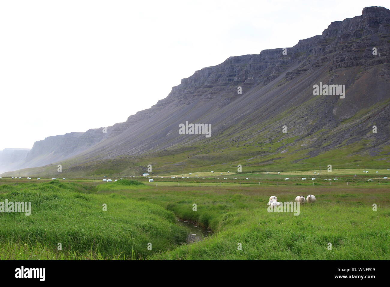 Un tipico paesaggio islandese in luglio, dietro la spiaggia più famosa dell'isola, Raudasandur, nel Westfjords. Foto Stock