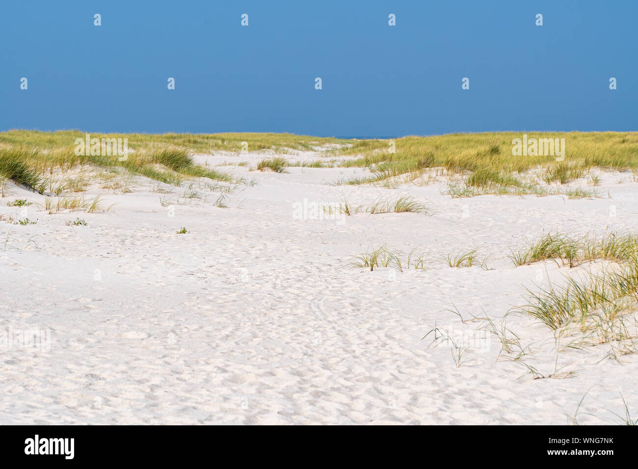 Dune sull'isola di Sylt, Germania Foto Stock