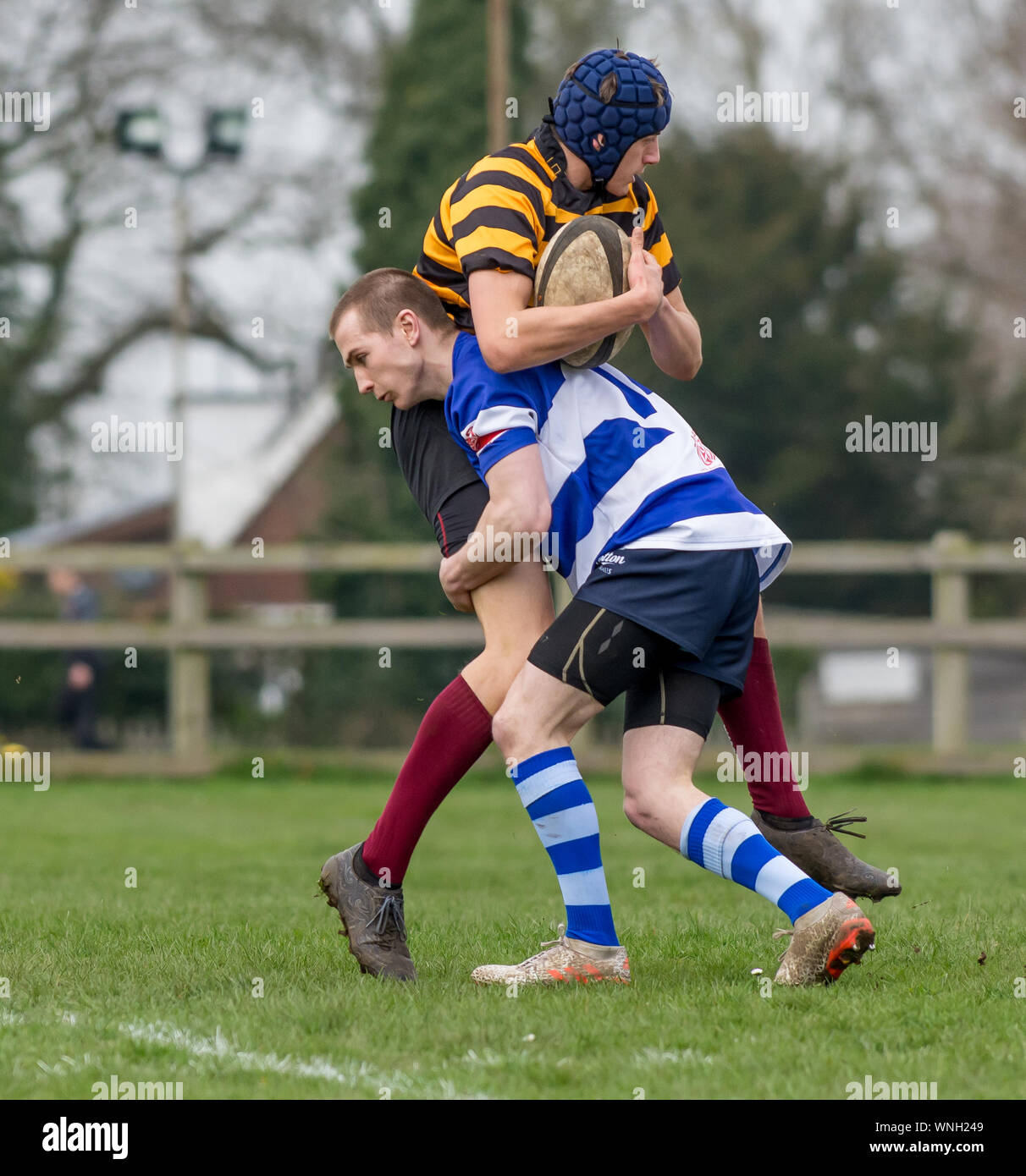 Maschio adulto rugby union affrontare, tackler colpisce in basso sotto la sfera e le unità in alto per effetto affrontare tecnica Foto Stock