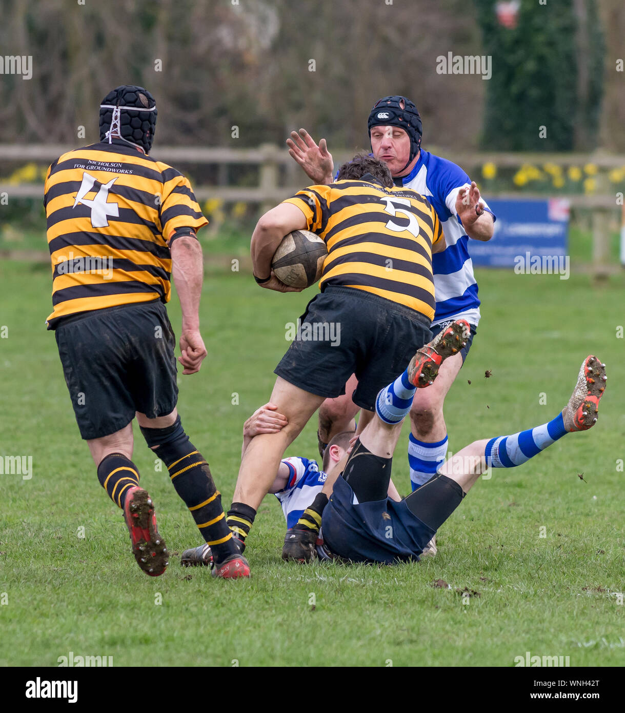 Maschio adulto rugby union affrontare, il giocatore con la palla gira su tackler e nel prossimo defender Foto Stock