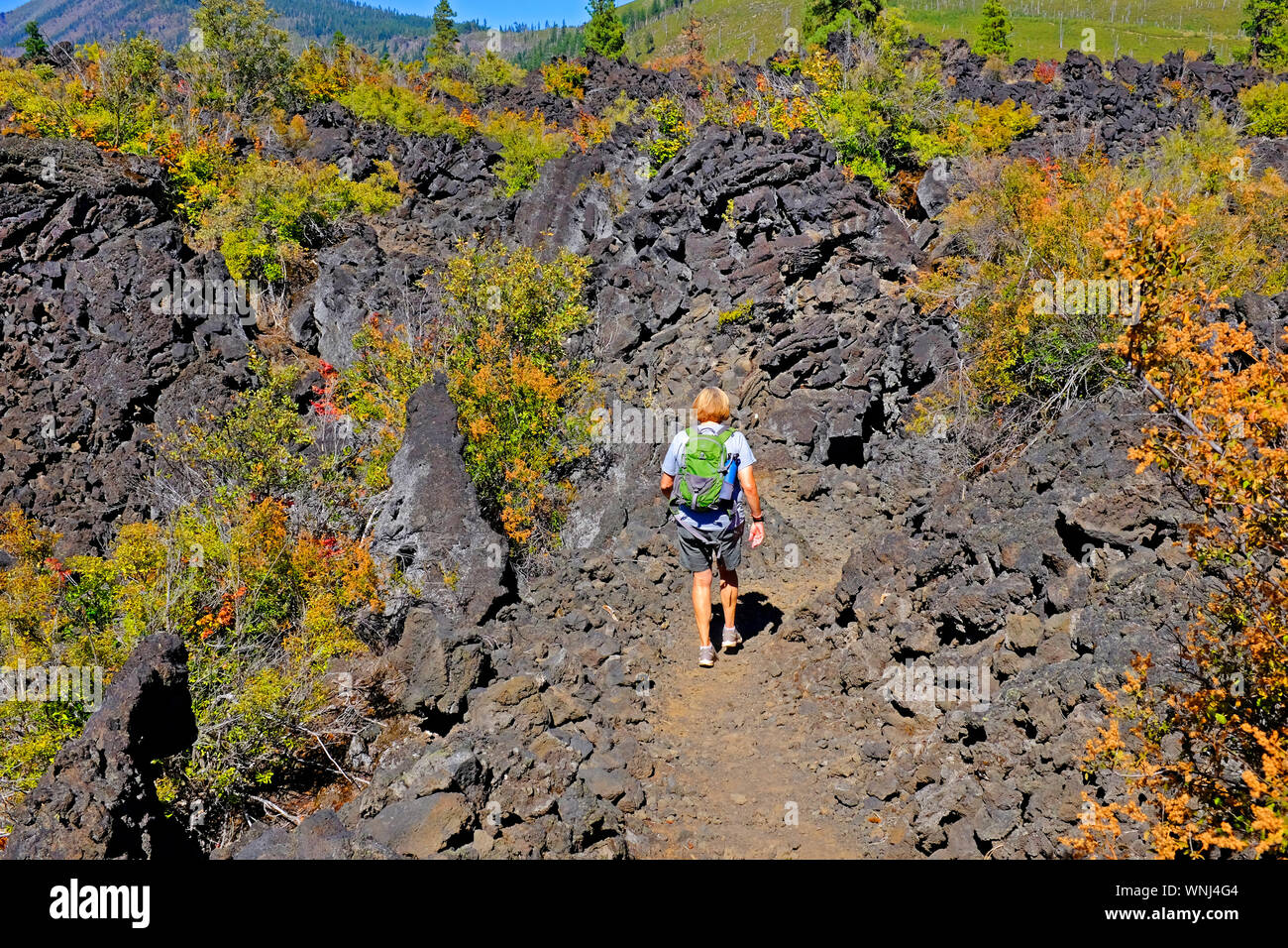 Una femmina di escursionista navigdates uno stretto sentiero forestale attraverso un letto di lava nel Mount Jefferson deserto, Cascade Mountains, Oregon. Foto Stock