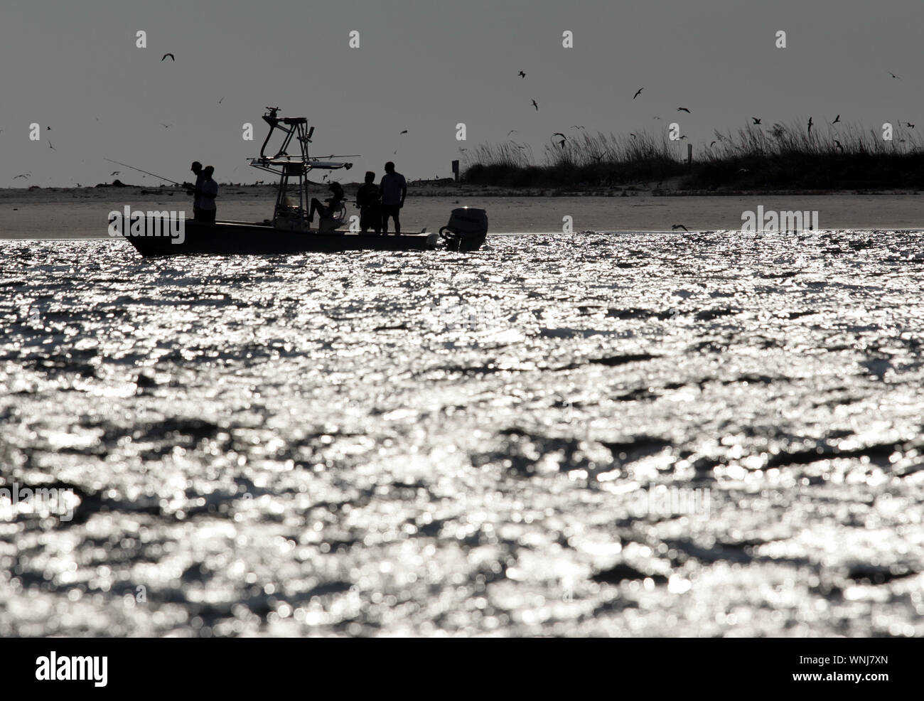 Pescatore del pesce per Tarpon al largo della costa della Egmont Key presso l'entrata di Tampa Bay nei pressi di San Pietroburgo, Florida Foto Stock