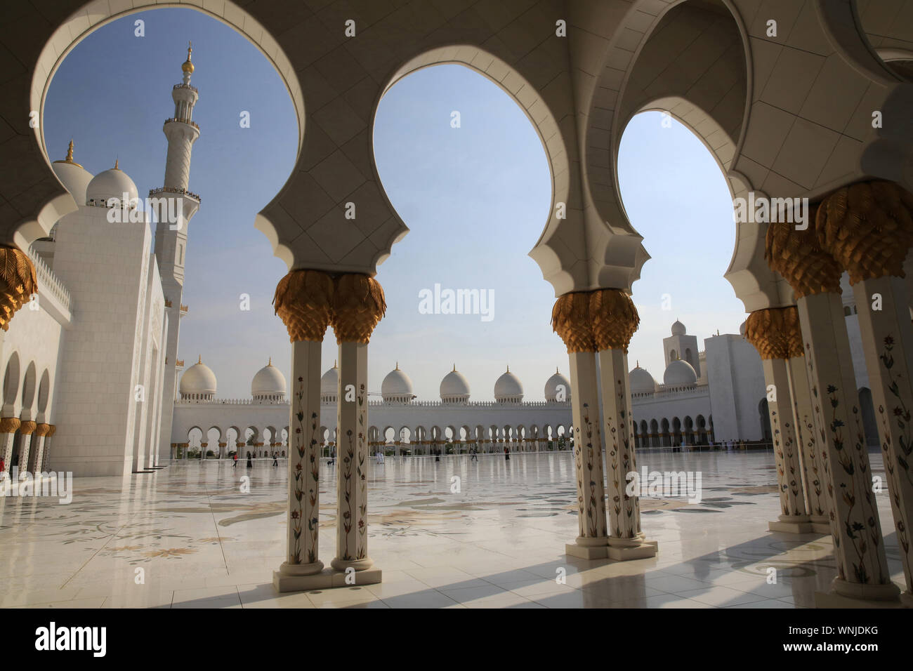 Mosquée Sheikh Zayed. 1995. Abou Dhabi. / Moschea Sheikh Zayed. 1995. Emirato di Abu Dhabi. Foto Stock