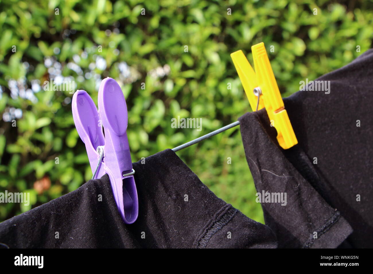 Linea di lavaggio e il pin vestiti con t-shirt nera in un giardino Foto Stock