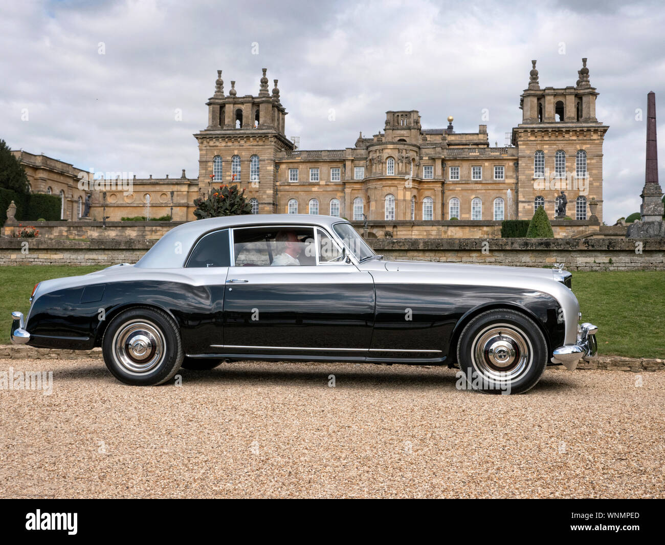 Il 1956 Bentley S1 continentale presso Salon Prenotazione Blenheim Palace 9/2019 Foto Stock