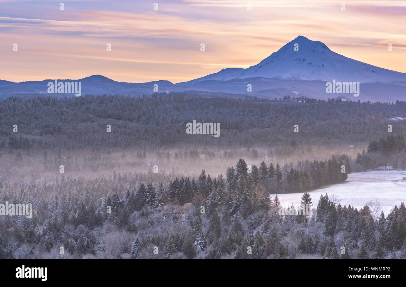 Foresta di nebbia al di sotto del cofano Mt sulla mattina di inverno Foto Stock