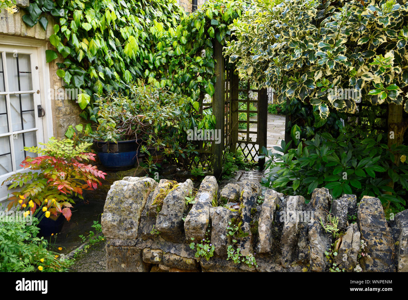 Giardino residenziale e di un patio con piante ad umido dopo una doccia a pioggia in Bouton-su-il-acqua in Cotswolds Inghilterra Foto Stock