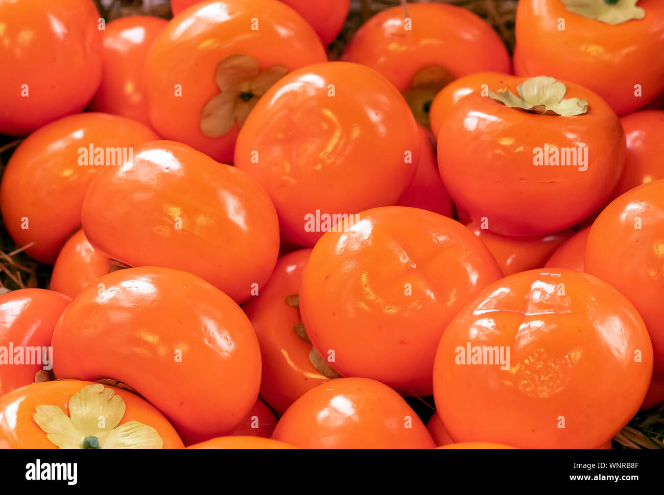 Sfondo da un grande numero di orange persimmon. Foto Stock