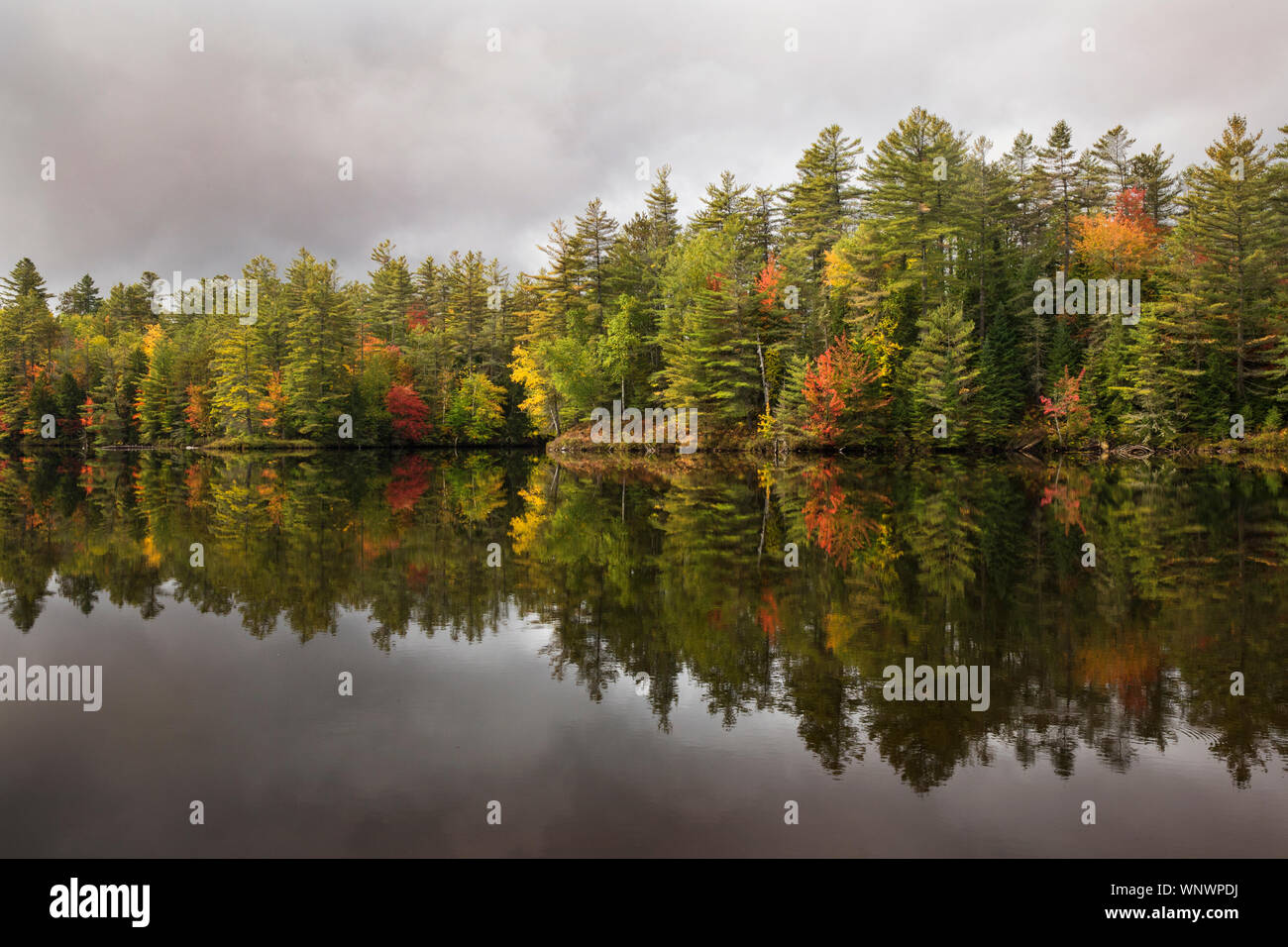 I colori dell'autunno riflettere stagni e fiumi durante la foglia-peeping momenti nel New England. Foglie di colore di tornitura; tempo d'autunno. Adirondack New Hampshire Vermont Foto Stock