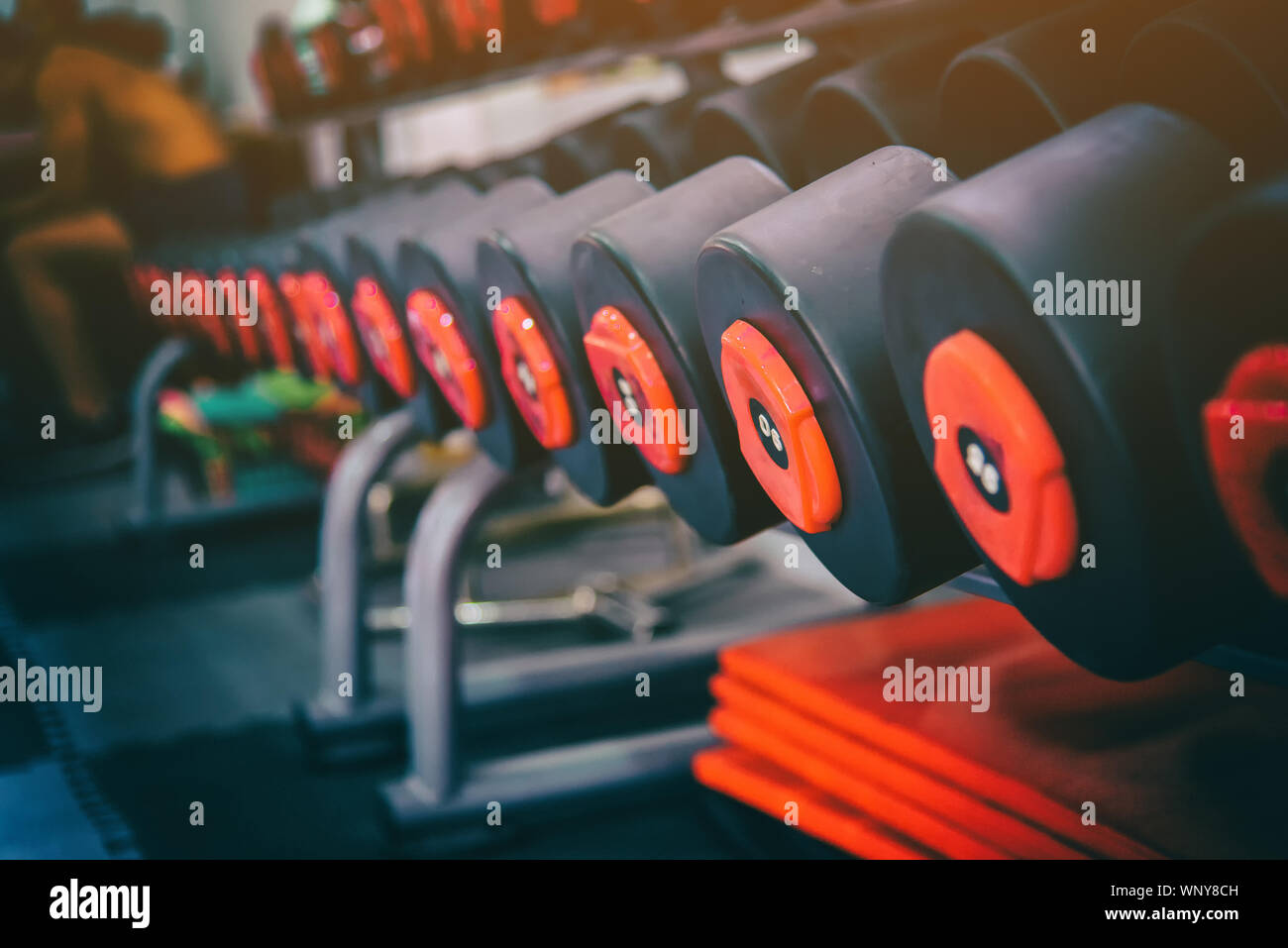 Righe di metallo manubri su rack in sport palestra fitness center . Peso attrezzatura di formazione di sport e salute il concetto di cura. Foto Stock