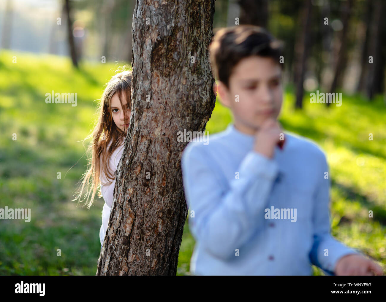 Un ragazzo e una ragazza di giocare a nascondino nel parco. Ragazza guarda il fidanzato. Bambina che si nasconde dietro la struttura ad albero e in agguato sul ragazzo. Foto Stock