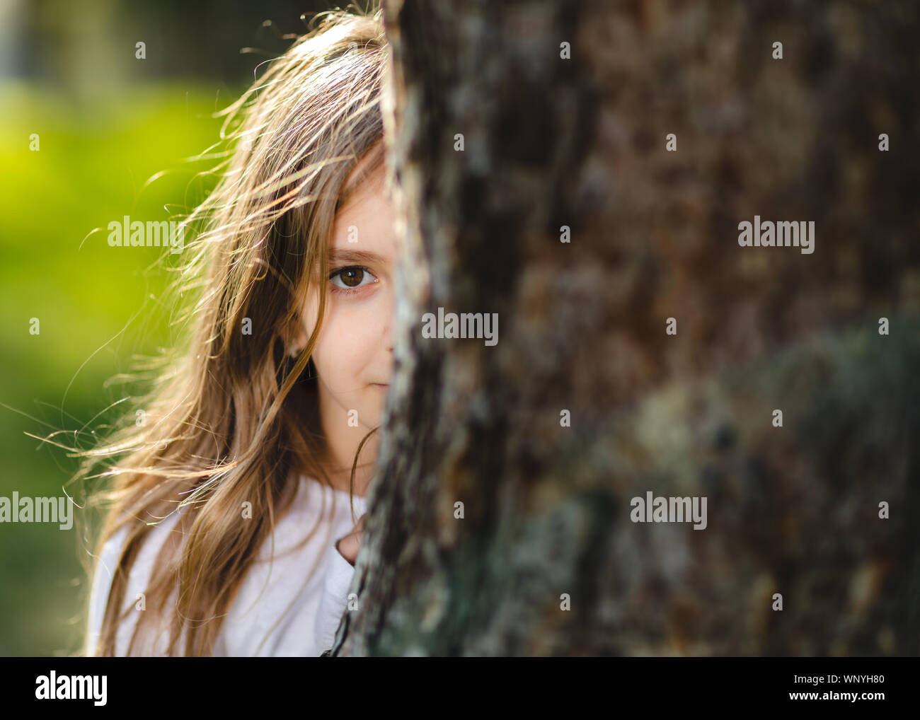 Ragazza giovane di nascondersi dietro l'albero. Ritratto di giovane ragazza dietro la struttura ad albero nel parco. Metà faccia di ragazza dietro la struttura. Foto Stock