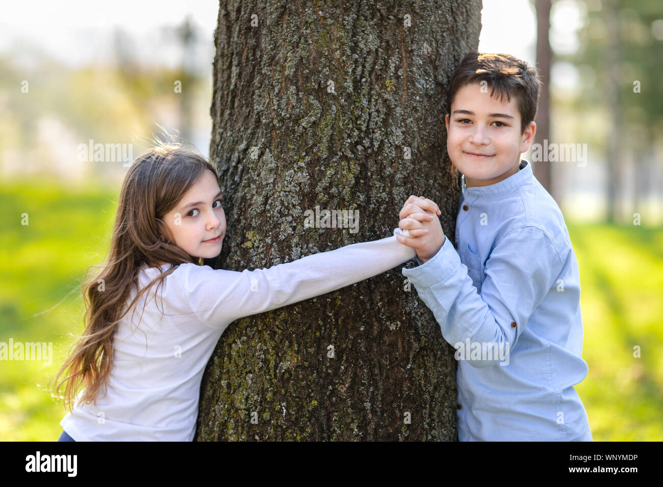 Giovane ragazza e ragazzo giocando intorno all'albero nel parco. Bambini romantico nel parco. Ragazzo e ragazza abbracciare la struttura ad albero nel parco. Foto Stock