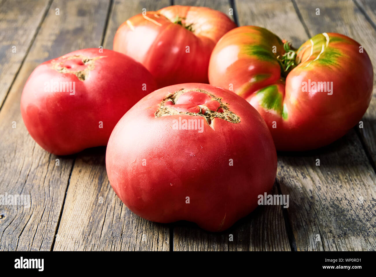 Colorate, fresche, grandi homegrown pomodori su un vecchio tavolo di legno. La raccolta . Foto Stock