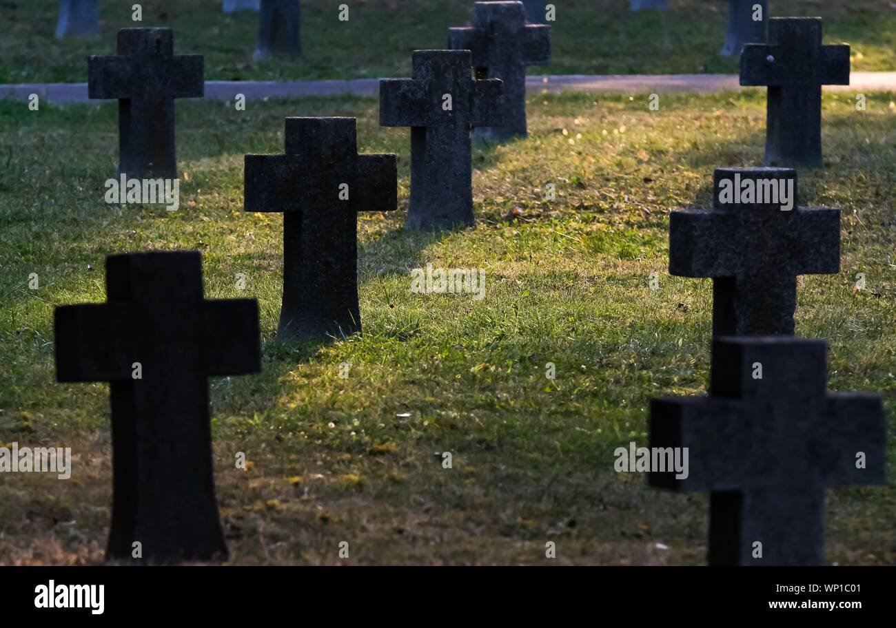 Bucarest, Romania - 11 Novembre 2018: Diverse croci in pietra di soldati caduti nella Prima Guerra Mondiale sono visibili nel cimitero degli eroi Pro Patria, in Buchare Foto Stock