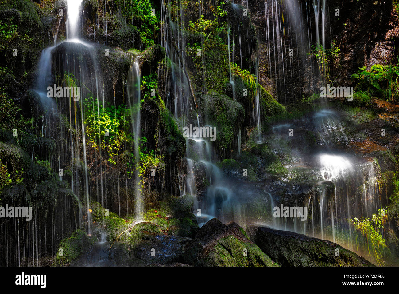 Fahler cascata, Feldberg, Foresta Nera, Germania Foto Stock