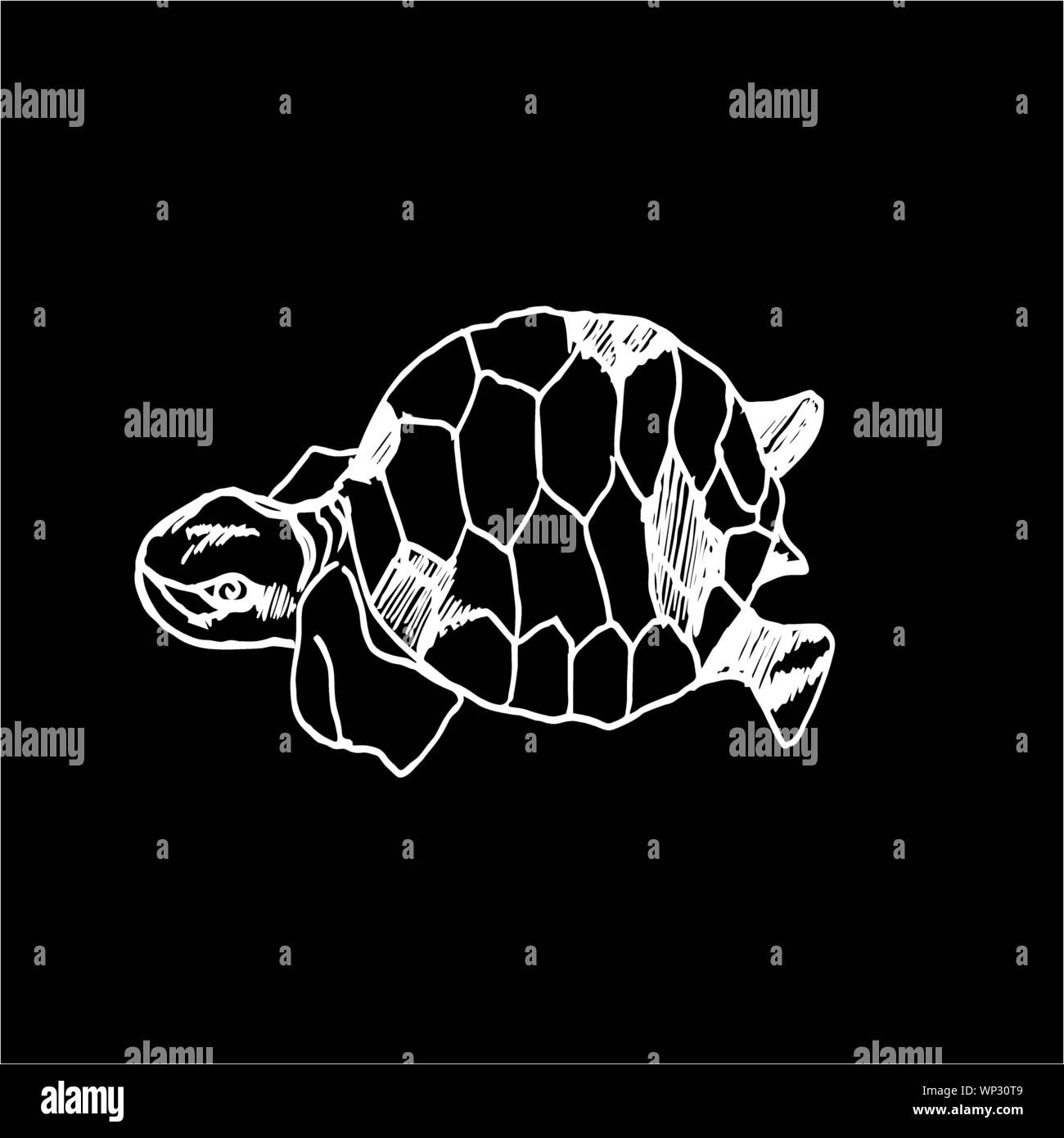 Dusenly - Striscione con tartaruga hawaiana con scritta in lingua