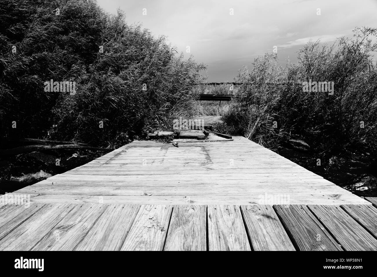 Dock, acqua, mare, Boat Harbour, Viaggi, Porto, nave, sky, pier, blu oceano, trasporto, estate, trasporti, vaso, città, nautiche Costa, vacanza Foto Stock
