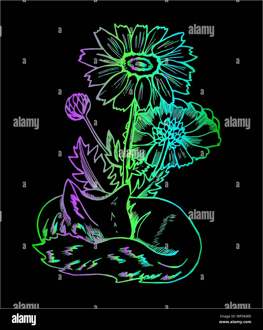 Colore Modello di Fox. Illustrazione di una volpe cosmica con fiori Illustrazione Vettoriale