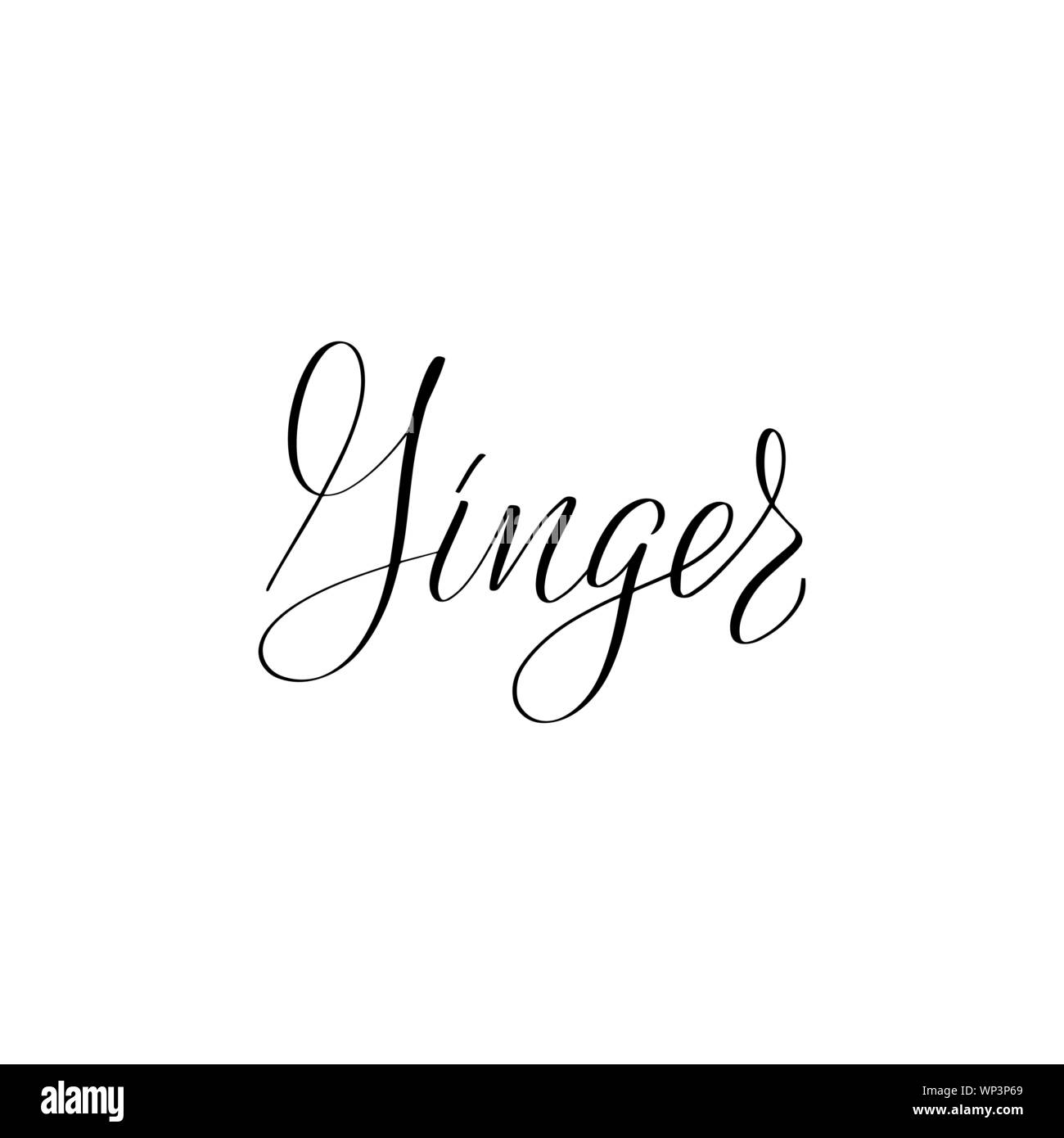 Ispiratore della spazzola manoscritta scritte . Vettore illustrazione di calligrafia Illustrazione Vettoriale