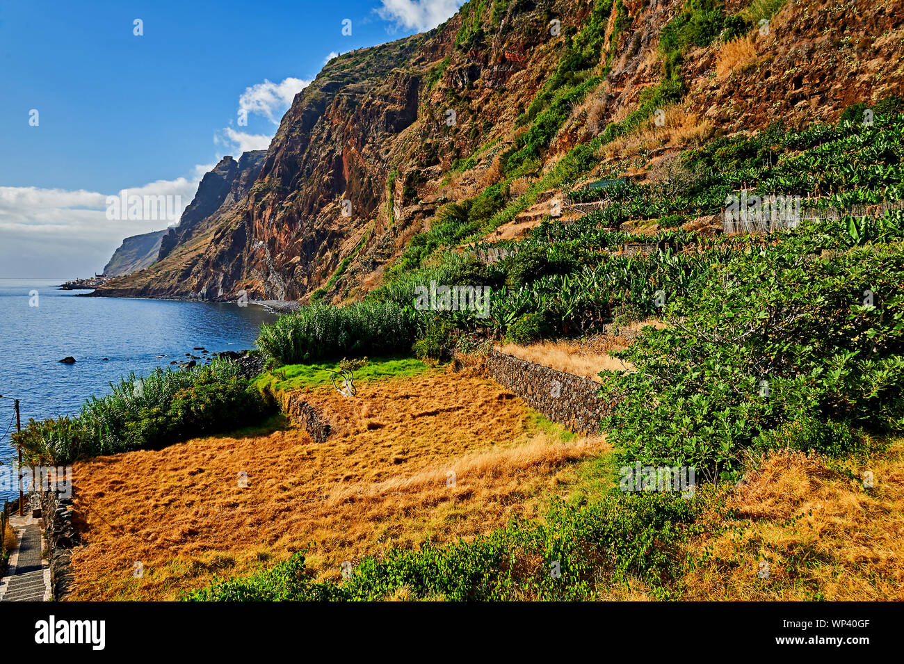 Costa frastagliata di Madera da Jardim do Mar sulle isole costa meridionale, con paesaggi terrazzati delle piante di banana. Foto Stock