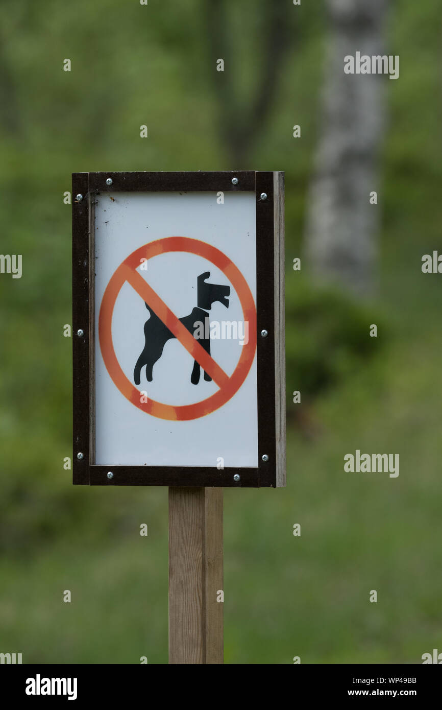 Non sono ammessi i cani segno contro erba sfocata e alberi sfondo,telaio verticale Foto Stock