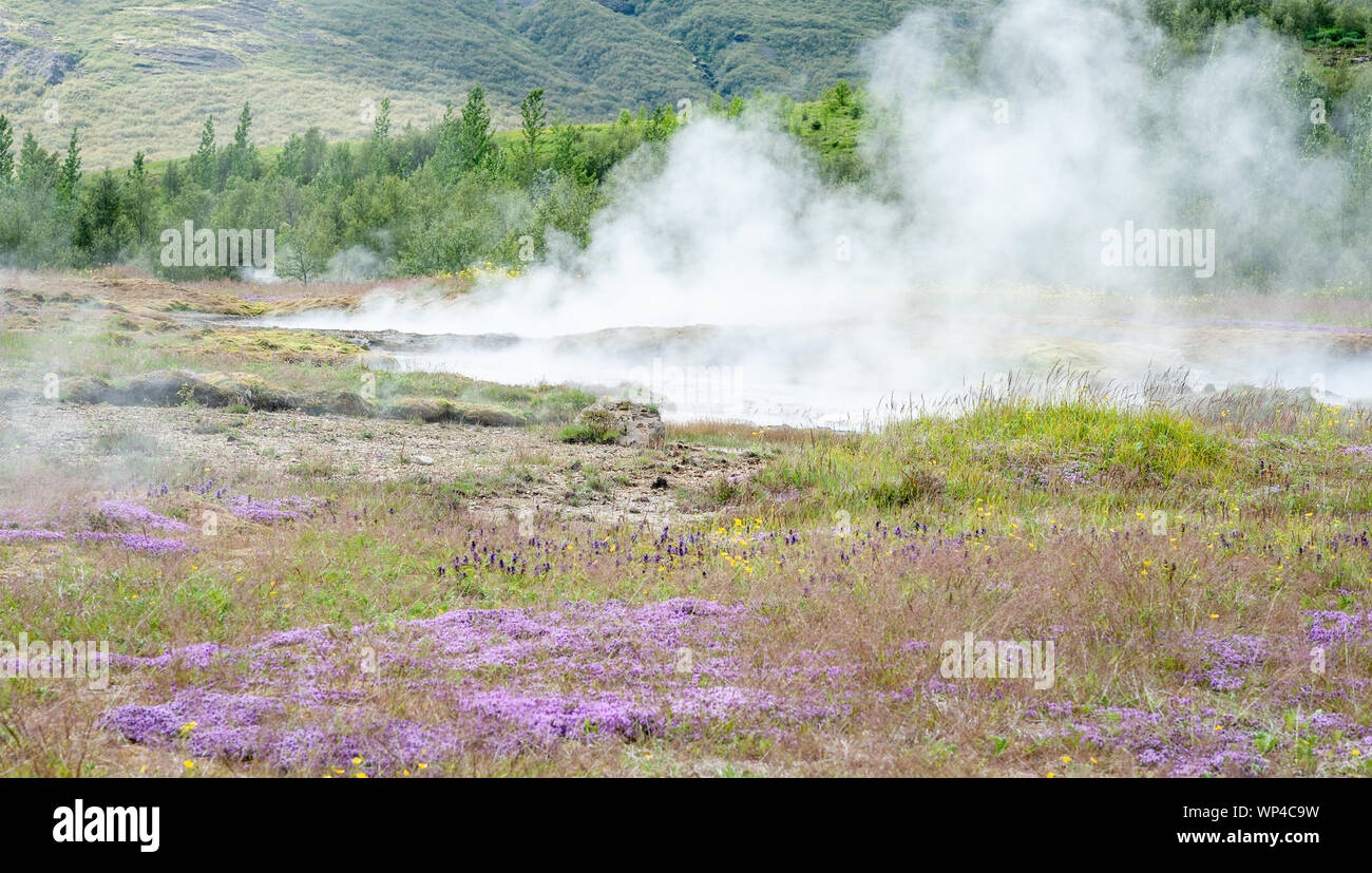 Geysir geotermica primavera calda area, Sudhurland, Islanda Foto Stock