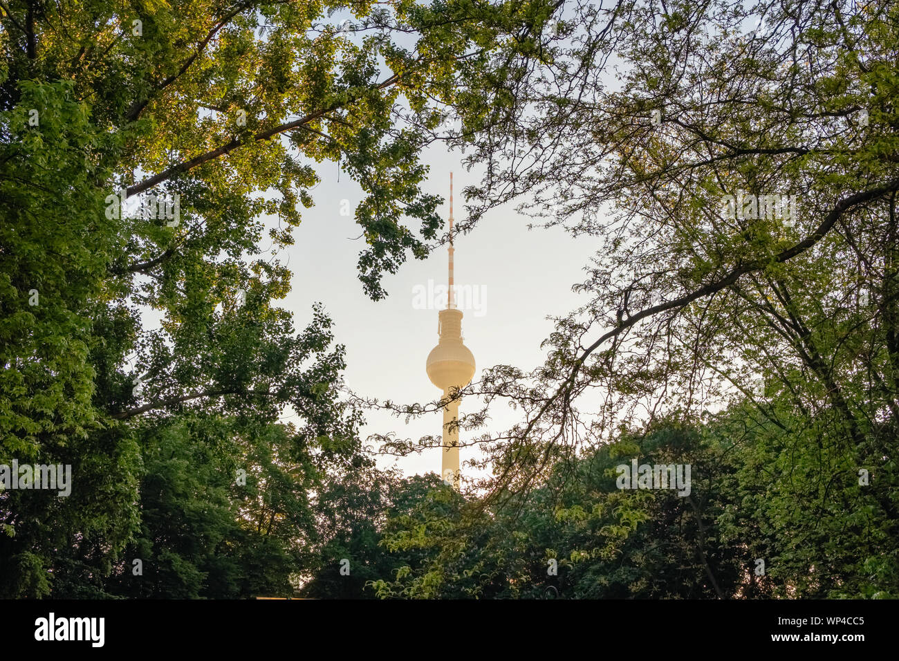 Berlino Torre della TV in estate a Berlino Foto Stock
