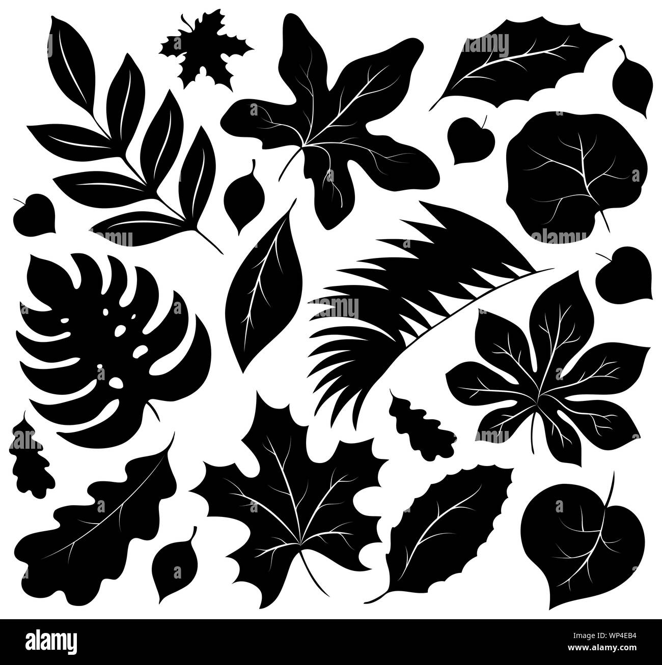 Silhouette di foglie di raccolta 1 Illustrazione Vettoriale