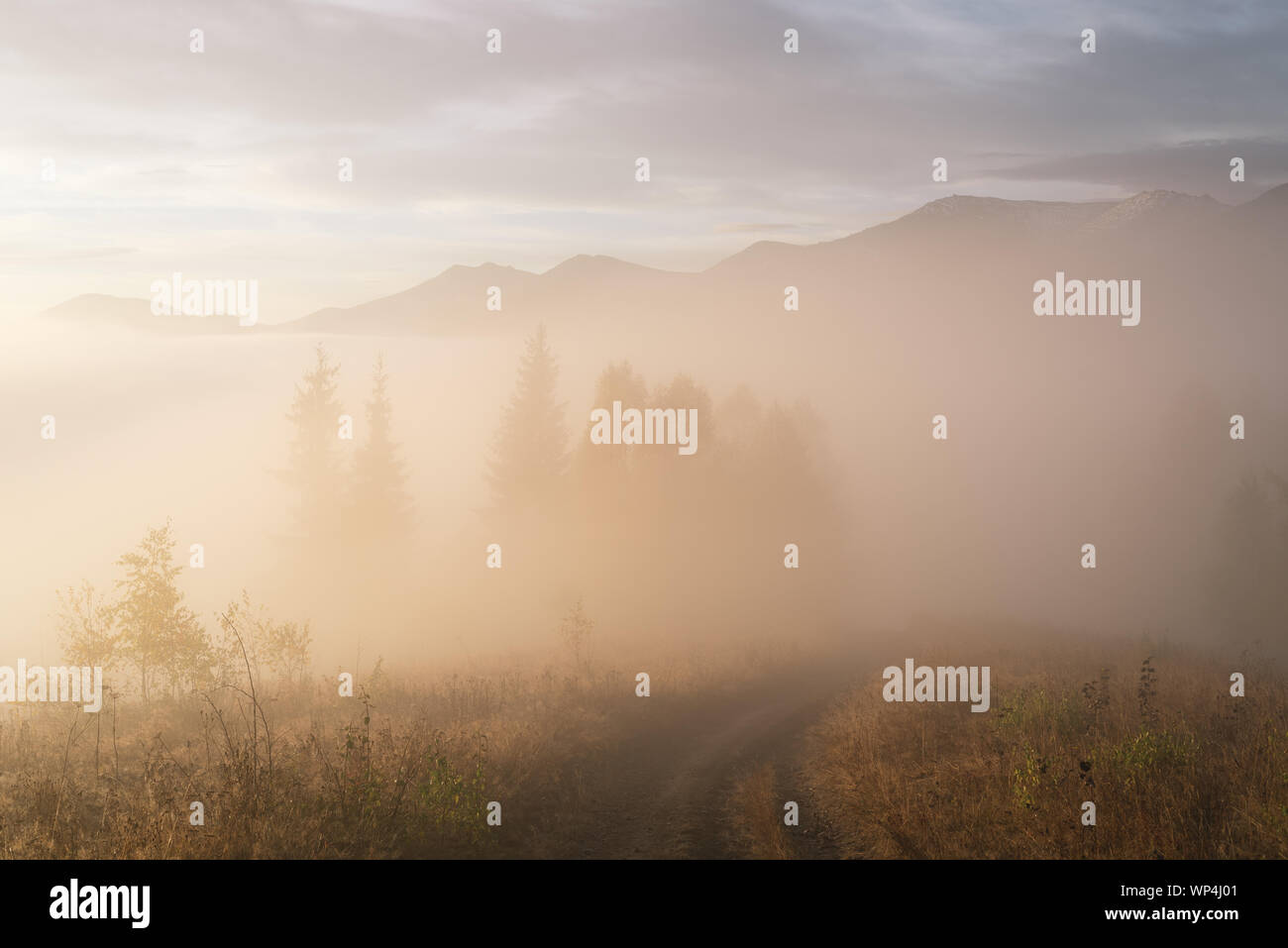 Paesaggio autunnale con una bellissima alba. Nebbia di mattina in montagna Foto Stock