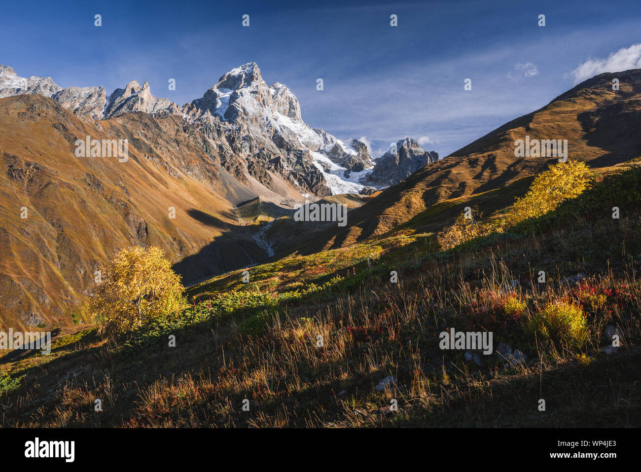 Paesaggio autunnale. Percorso nelle montagne. Montare Ushba, principale crinale caucasico. Zemo Svaneti, Georgia Foto Stock
